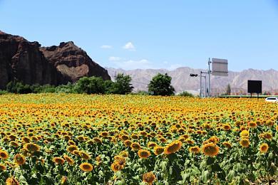 《莱莎的炼金工房3》公开首部宣传影片 中字