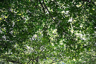 E3：《塞尔达无双》第一弹DLC 6月18日发售